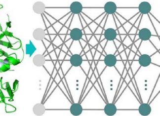 Identification of Physiological and Adventitious Metal-Binding Sites in Protein 3D Structures Using a Deep Neural Network-Based Classifier metal binding site, metalloproteins