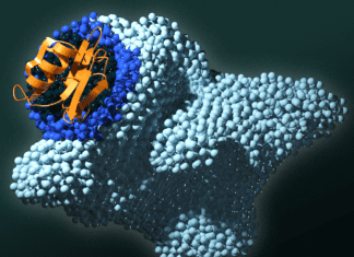 Scientists Identify Cancer Triggers that may Lead to Targeted Drug Therapies in Fighting Variety of Cancers cancer trigger, protein domain, Targeted Drug Therapies