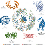 ProtGPT2 -a Deep Unsupervised Language Model for Protein Design