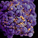 Scientists Propose a Computational Approach for Predicting HIV Combination Therapy to Prevent Viral Escape and Rebound