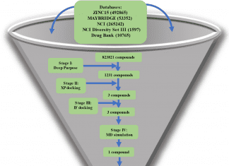 Hierarchical Structure-based Virtual Screening Targeting SARS-CoV-2 Endoribonuclease A-workflow-showing-the-steps-performed-in-this-study