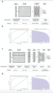 Deep learning models accurately predict antigen specificity