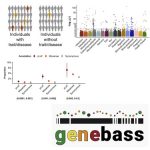 Genebass for linking rare genetic variants with disease phenotypes