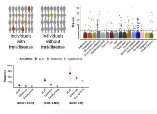 Genebass – A New Online Resource that Links Rare Genetic Variants to Human Health and Disease Genebass for linking rare genetic variants with disease phenotypes