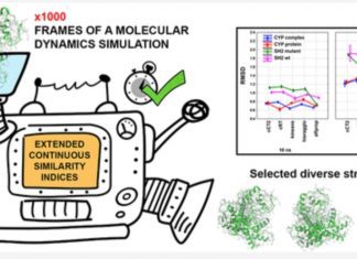 Scientists Recognize Extended Continuous Similarity Indices as a Novel Tool to Study the Conformational Diversity in Molecular Dynamics Simulation Molecular Dynamics Simulations and Diversity Selection by Extended Continuous Similarity Indices