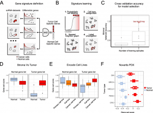 Machine Learning Algorithm Identifies Tumor Cells at the Single-cell Level