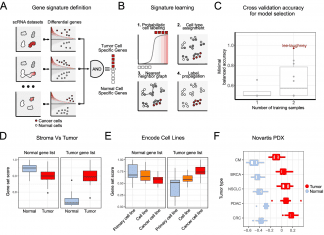 A New Machine Learning Algorithm ‘Ikarus’ Identifies Tumor Cells at the Single-cell Level Machine Learning Algorithm Identifies Tumor Cells at the Single-cell Level