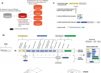 SAMchain – A Blockchain Technology for Storing and Analyzing Genomes