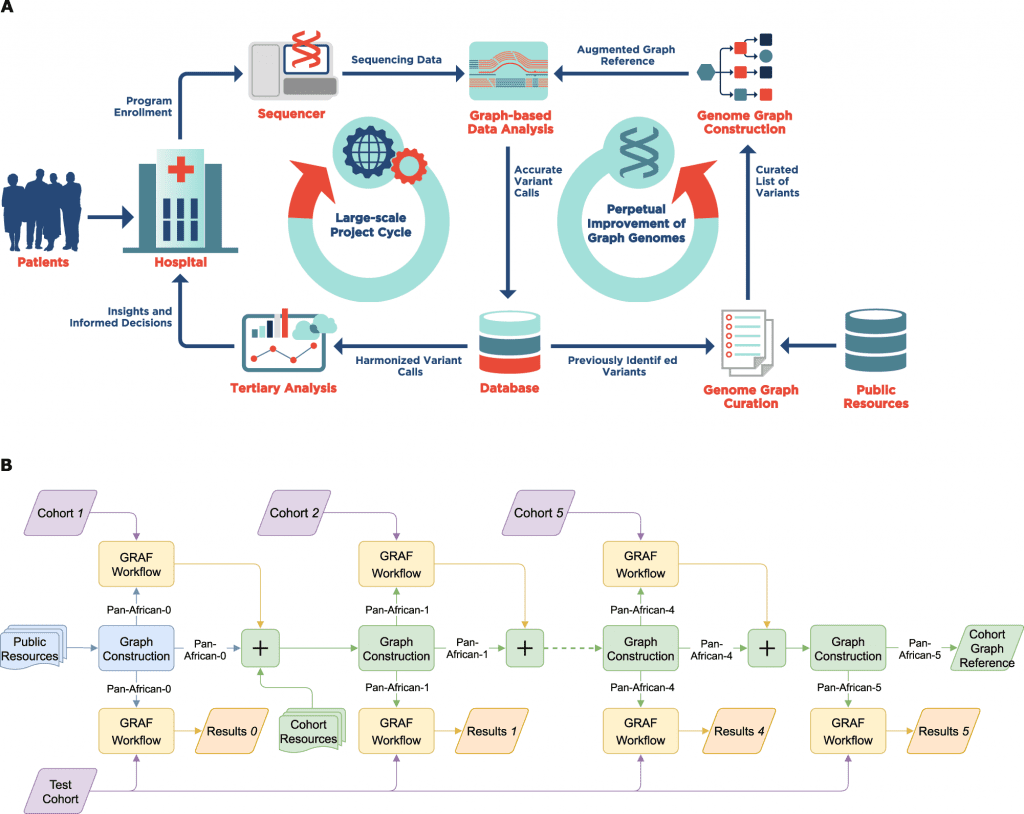 Population Specific Genome Graphs