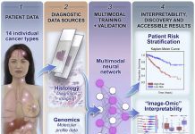 Scientists use Multimodal Deep Learning for Pan-Cancer Integrative Histology-Genomic Analysis Deep learning based cancer prognosis