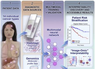 Scientists use Multimodal Deep Learning for Pan-Cancer Integrative Histology-Genomic Analysis Deep learning based cancer prognosis