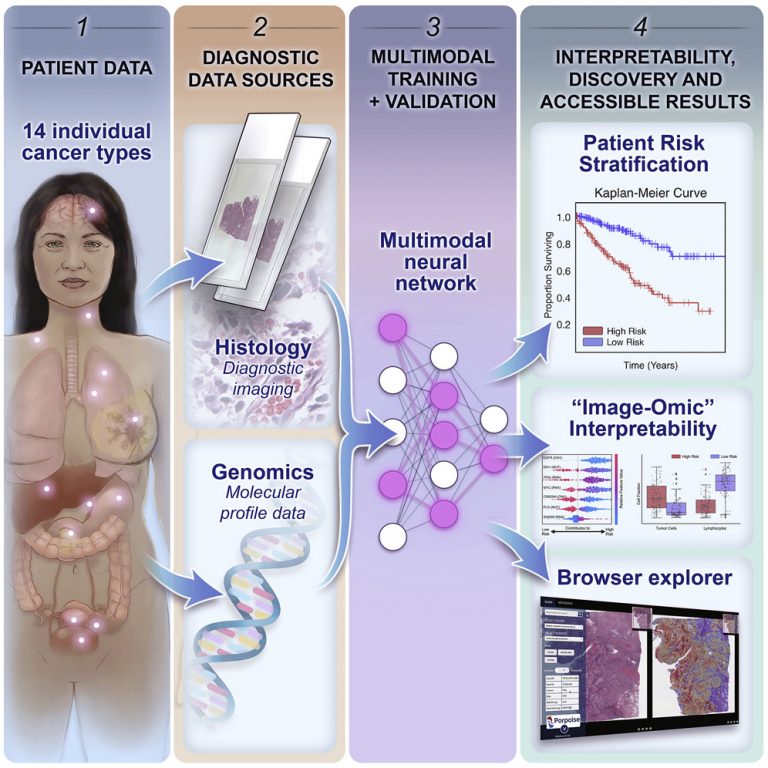 Deep learning based cancer prognosis