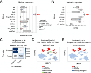 Machine Learning Algorithm Identifies Tumor Cells at the Single-cell Level