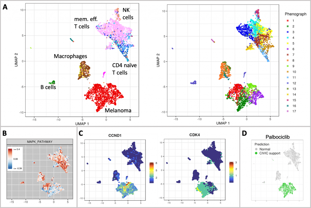 Sample composition and interpretation of a melanoma sample