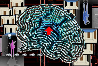 Future scenes predicted by human subjects during maze navigation