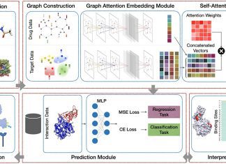 Accelerating the Discovery of New Drugs with AI-based Screening Methods AttentionSiteDTI: Accelerating the Discovery of New Drugs with AI-based Screening Methods