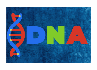 What is DNA Sequencing? What is DNA Sequencing?