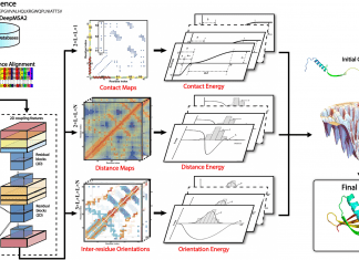 DeepFold: A Fast and Accurate Method for Ab Initio Protein Structure Prediction using Deep Learning Potentials Overview of the DeepFold pipeline