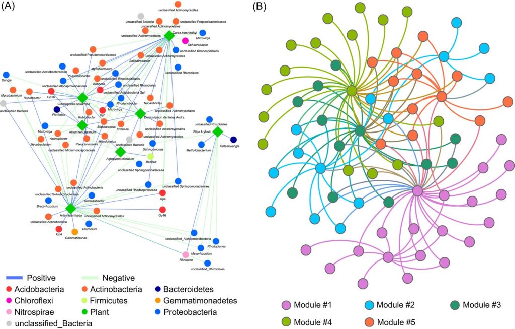 INAP - an integrated network analysis pipeline 