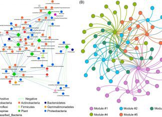 iNAP: An Integrated Network Analysis Pipeline for Microbiome Studies in Complex Ecosystems INAP an integrated network analysis pipeline
