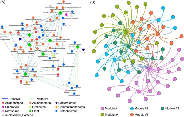 INAP an integrated network analysis pipeline