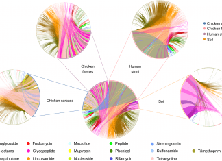 Scientists Investigated Microbial Communities and Resistomes in Relation to Interconnected Humans, Soil, and Livestock Occurrence of antibiotic resistomes in humans soil livestock and carcasses