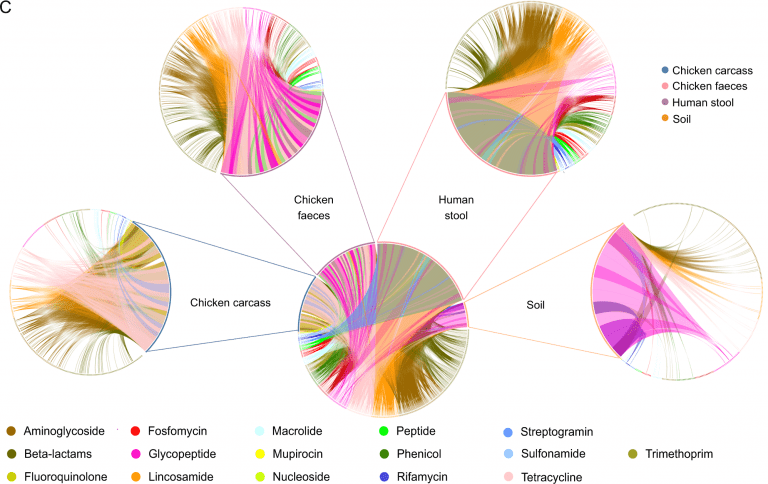 Occurrence of antibiotic resistomes in humans soil livestock and carcasses