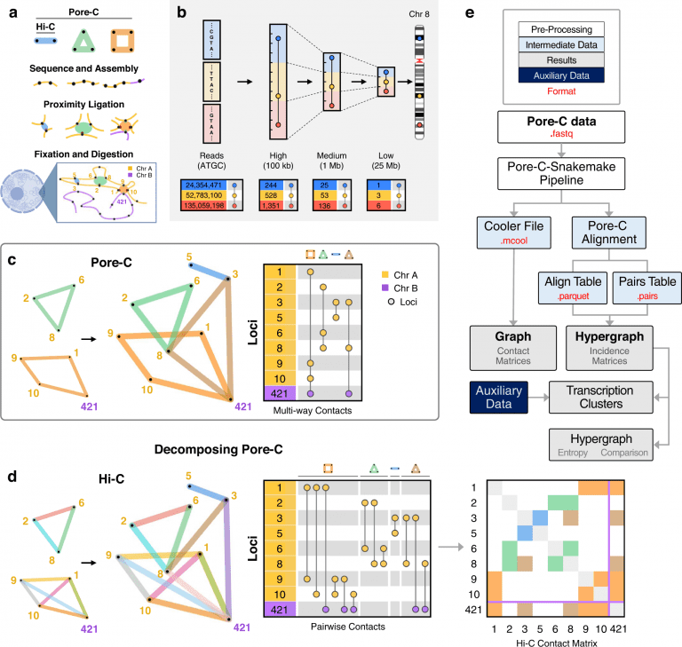 Pore-C experimental and data workflow to identify chromatin network