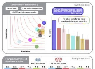 New AI Tool ‘SigProfilerExtractor’ Identifies Mutational Signature Linked To Tobacco Smoking and Bladder Cancer A machine learning tool - SigProfilerExtractor has identified a link between bladder cancer and tobacco smoking.