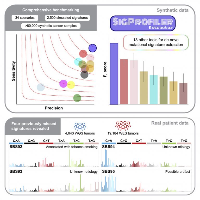 A machine learning tool - SigProfilerExtractor has identified a link between bladder cancer and tobacco smoking.