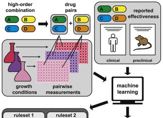 Researchers at Tufts use Artificial Intelligence to Improve Tuberculosis Treatments Artificial Intelligence based drug combinations for tuberculosis treatment