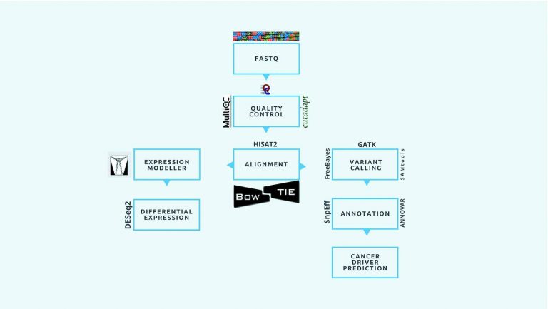 The iCOMIC pipeline for Cancer Omics Data Analysis