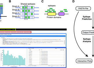 Epitope-Evaluator: A Shiny/R-based Web Tool for Interactively Analysing Predicted T-cell Epitopes Epitope-Evaluator is a web application developed in the Shiny/R framework for analyzing predicted T-cell epitopes