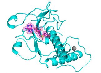 Researchers at Mount Sinai Determined the Crystal Structure of the SARS-CoV-2 Key Enzyme, Paving the Way for Novel Antivirals high-resolution structures of SARS-CoV-2 nsp14 N7-MTase