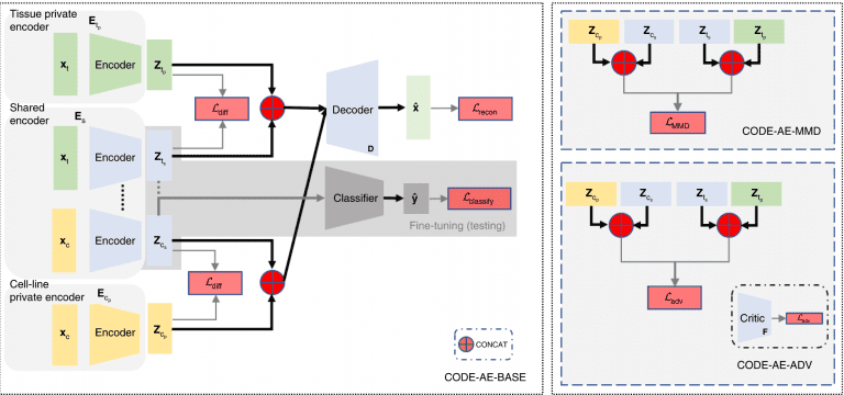 CODE-AE Predicts Personalized Cancer Drug Response Using Cell Line Data