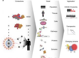 A Systematic Proteome-scale Contactome Map Reveals How SARS-CoV-2 Communicates with Human Cells SARS-CoV-2 Human Contactome