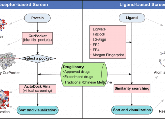 DrugRep: An Automated and Parameter-Free Virtual Screening Tool for Drug Repurposing DrugRep: Virtual Screening Tool for Drug Repurposing