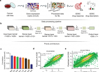 PRECILY – A Deep Neural Network-based Cancer Drug Response Predictor Precily - A Deep Neural Network-based Cancer Drug Response Predictor