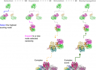 Demystifying Large Protein Complex Structures Using AlphaFold and Monte Carlo Tree Search Protein Complex Structure Prediction Using AlphaFold and Monte Carlo Tree Search
