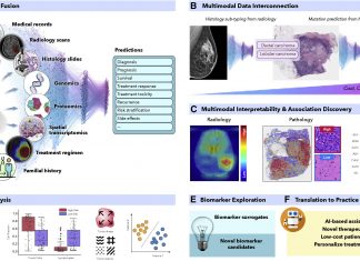 Artificial Intelligence Strategies For Multimodal Fusion – A Path Towards Precision Oncology Multimodal Data Fusion