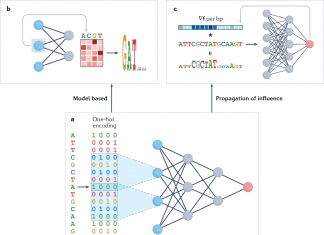 Explainable AI – Deep Learning Models: Black Box to Emerging Genomics Research Conceptual approaches to explainable artificial intelligence