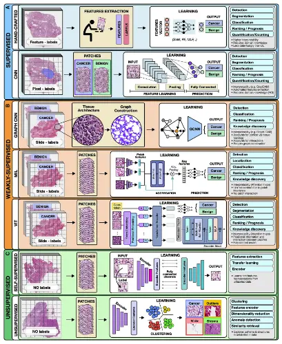 AI Methods Used In Oncology