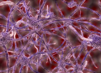 Unraveling Diseases with Data – Machine Learning Helps Identify New Nonlinear Progression Patterns in Neurodegenerative Disorders Computational model reveals new disease patterns in ALS, Alzheimer’s, and Parkinson’s