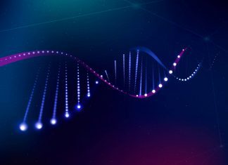 KAGE – A Fast Alignment-free Graph-based Genotyper for SNPs and Short Indels Alignment-free Graph-based Genotyper for SNPs and Short Indels