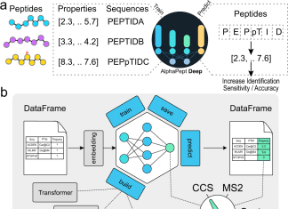 Meet AlphaPeptDeep: a Deep Learning Framework for Predicting Peptide Properties from Sequences AlphaPeptDeep: a Deep Learning Framework for Predicting Peptide Properties