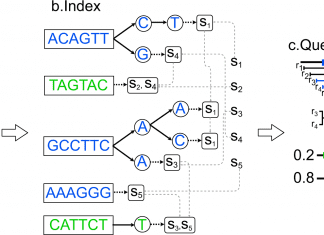 Researchers Develop a Computational Tool ‘CAMMiQ’ for Strain Level Microbial Detection and Quantification Using High Throughput Sequencing Data