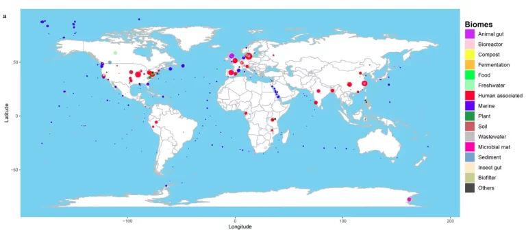 Constructing a High-Resolution Global Map of Clinically Relevant Antimicrobial Resistance Genes