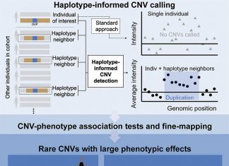 A New Approach ‘HI-CNV’ Elucidates the Effects of Copy Number Variation on Human Genome and Health