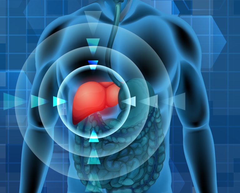 Novel AI Blood Test 'DELFI' for Early Detection of Liver Cancer