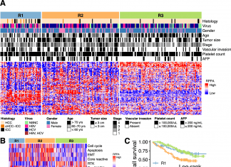 Large-scale Proteo-genomic Profiling of Virus-associated Liver Cancer Unveils Potential Subtypes and Therapeutic Targets Proteo-genomic Profiling of Virus-associated Liver Cancer